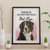 Bernese Mountain Dog Best mama Poster