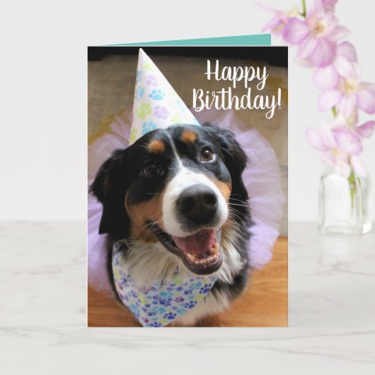 Bernese Mountain Dog Birthday Card Kaart (Orchidee)