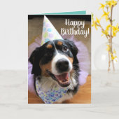 Bernese Mountain Dog Birthday Card Kaart (Gele Bloem)