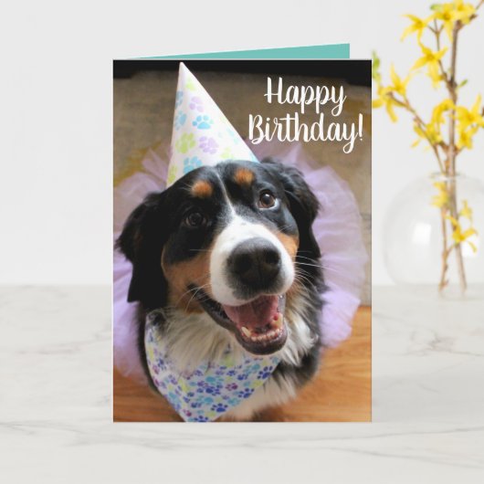 Bernese Mountain Dog Birthday Card Kaart (Gele Bloem)