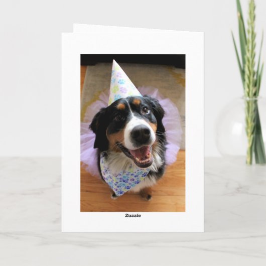 Bernese Mountain Dog Birthday Feestdagen Kaart (Achterkant)