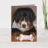 Bernese Mountain Dog Birthday Feestdagen Kaart (Voorkant)