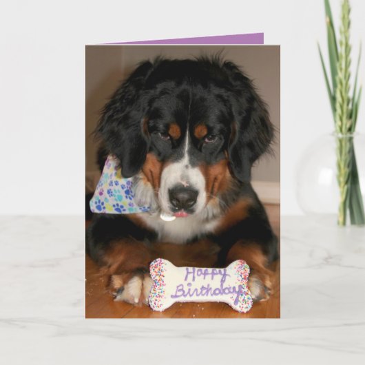 Bernese Mountain Dog Birthday Feestdagen Kaart (Voorkant)