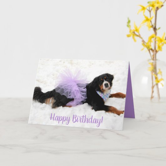 Bernese Mountain Dog Birthday Kaart (Gele Bloem)