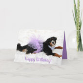 Bernese Mountain Dog Birthday Kaart (Voorkant)