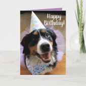 Bernese Mountain Dog Birthday Kaart (Voorkant)