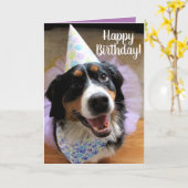 Bernese Mountain Dog Birthday Kaart (Gele Bloem)