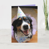 Bernese Mountain Dog Birthday Kaart (Voorkant)