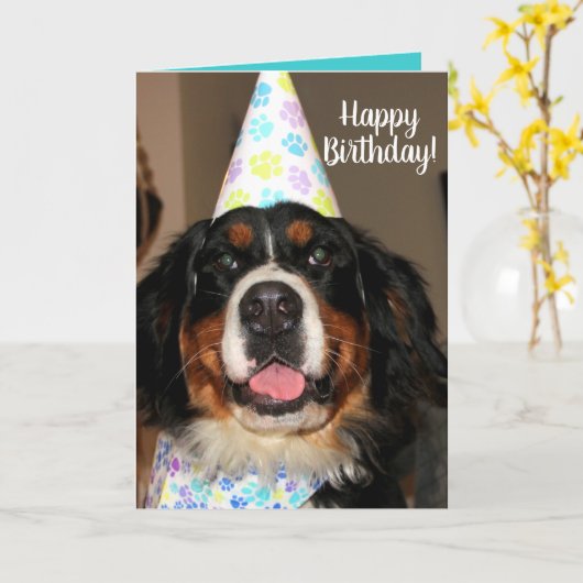 Bernese Mountain Dog Birthday Kaart (Gele Bloem)
