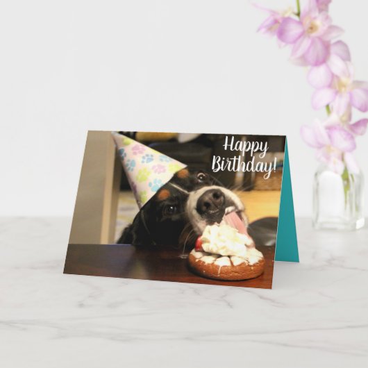 Bernese Mountain Dog Birthday Kaart (Orchidee)