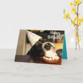 Bernese Mountain Dog Birthday Kaart (Gele Bloem)