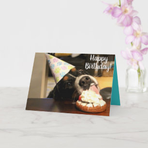 Bernese Mountain Dog Birthday Kaart