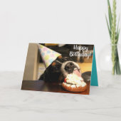 Bernese Mountain Dog Birthday Kaart (Voorkant)