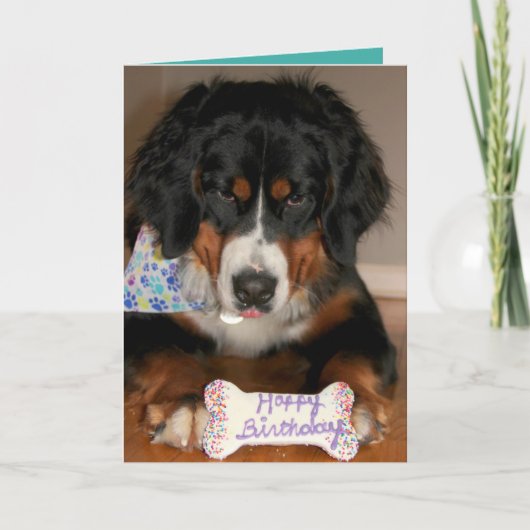 Bernese Mountain Dog Birthday Kaart (Voorkant)