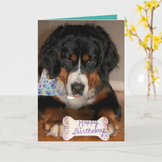 Bernese Mountain Dog Birthday Kaart (Gele Bloem)