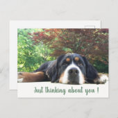 Bernese Mountain Dog Briefkaart (Voorkant / Achterkant)