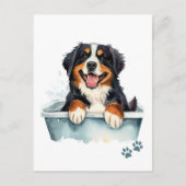 Bernese Mountain Dog Briefkaart (Voorkant)