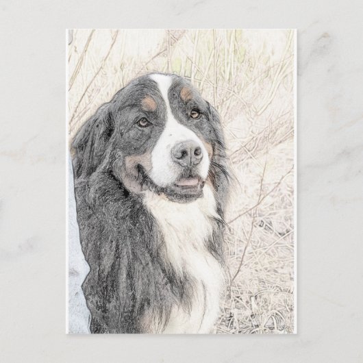 Bernese Mountain Dog Briefkaart (Voorkant)