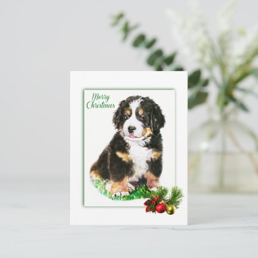 Bernese Mountain Dog Briefkaart (Staand voorkant)