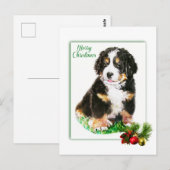 Bernese Mountain Dog Briefkaart (Voorkant / Achterkant)