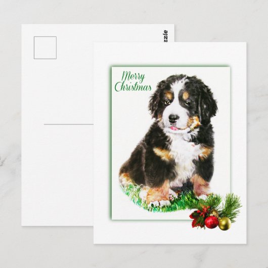 Bernese Mountain Dog Briefkaart (Voorkant / Achterkant)
