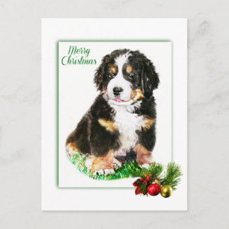 Bernese Mountain Dog Briefkaart