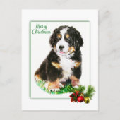 Bernese Mountain Dog Briefkaart (Voorkant)