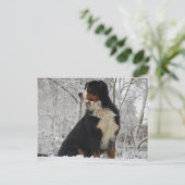 Bernese Mountain Dog Briefkaart (Staand voorkant)