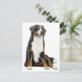 Bernese Mountain Dog Briefkaart (Staand voorkant)