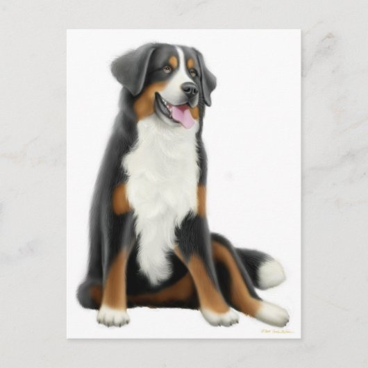 Bernese Mountain Dog Briefkaart (Voorkant)