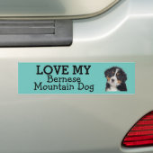 Bernese Mountain Dog bumpersticker (Op auto)