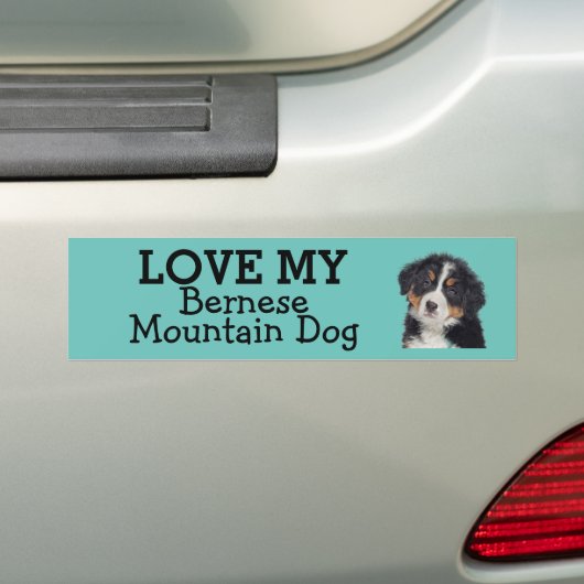 Bernese Mountain Dog bumpersticker (Op auto)