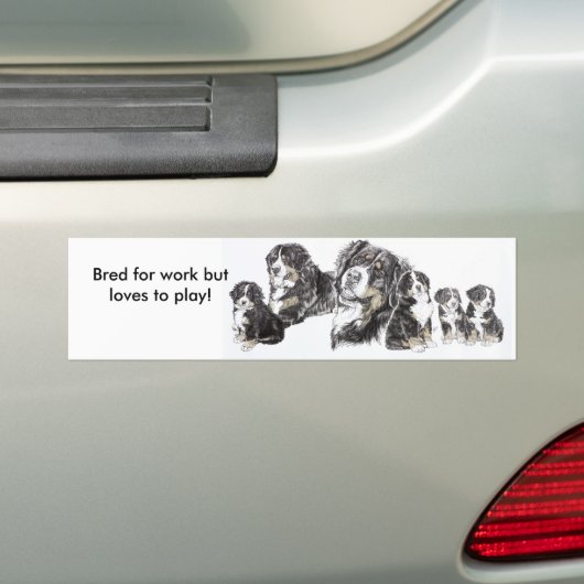 Bernese Mountain Dog Bumpersticker (Op auto)
