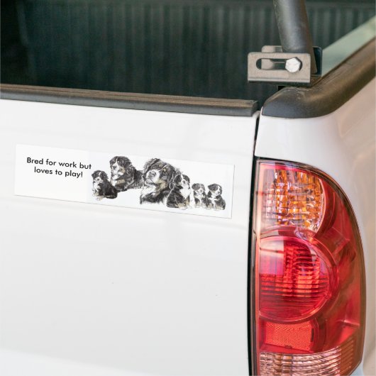 Bernese Mountain Dog Bumpersticker (Op Truck)