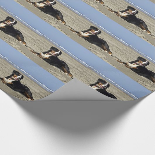 Bernese Mountain Dog Cadeaupapier (Hoek)