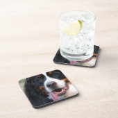 Bernese Mountain Dog Cork Onderzetters (Rechterzijde)