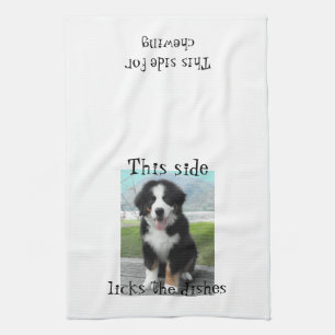 Bernese Mountain Dog Dish-handdoek Theedoek