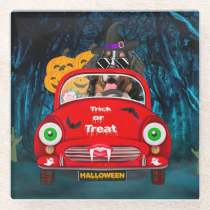 Bernese Mountain Dog Driving Car Scary Halloween Glazen Onderzetter