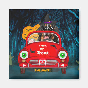 Bernese Mountain Dog Driving Car Scary Halloween Magneet