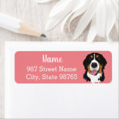  Bernese Mountain Dog Etiket (Insitu)