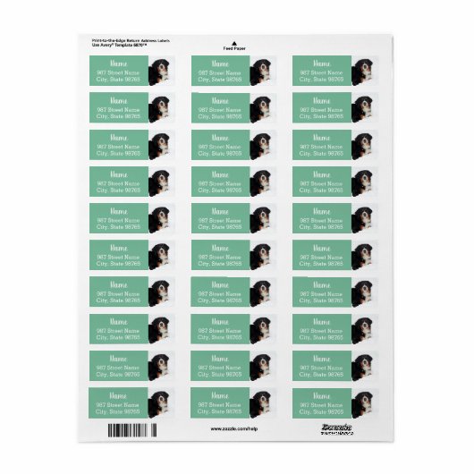  Bernese Mountain Dog Etiket (Full Sheet)