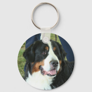 Bernese Mountain Dog Foto Sleutelhanger