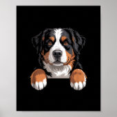 Bernese Mountain Dog Funny Peeking Cket Berner Pup Poster (Voorkant)