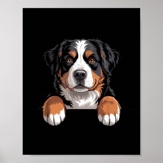 Bernese Mountain Dog Funny Peeking Cket Berner Pup Poster (Voorkant)
