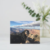 Bernese Mountain Dog Grand Canyon Briefkaart (Staand voorkant)