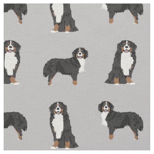 Bernese Mountain Dog grijs Stof (Close Up)