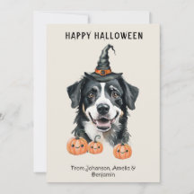 Bernese Mountain Dog Halloween kaart | Heksenhoed