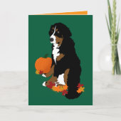 Bernese Mountain Dog herfst Blank Kaart (Voorkant)