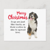 Bernese Mountain Dog Holiday Card Feestdagenkaart (Voorkant)