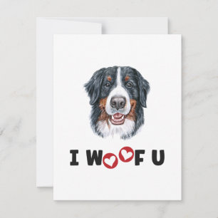 Bernese Mountain Dog ik wil je graag